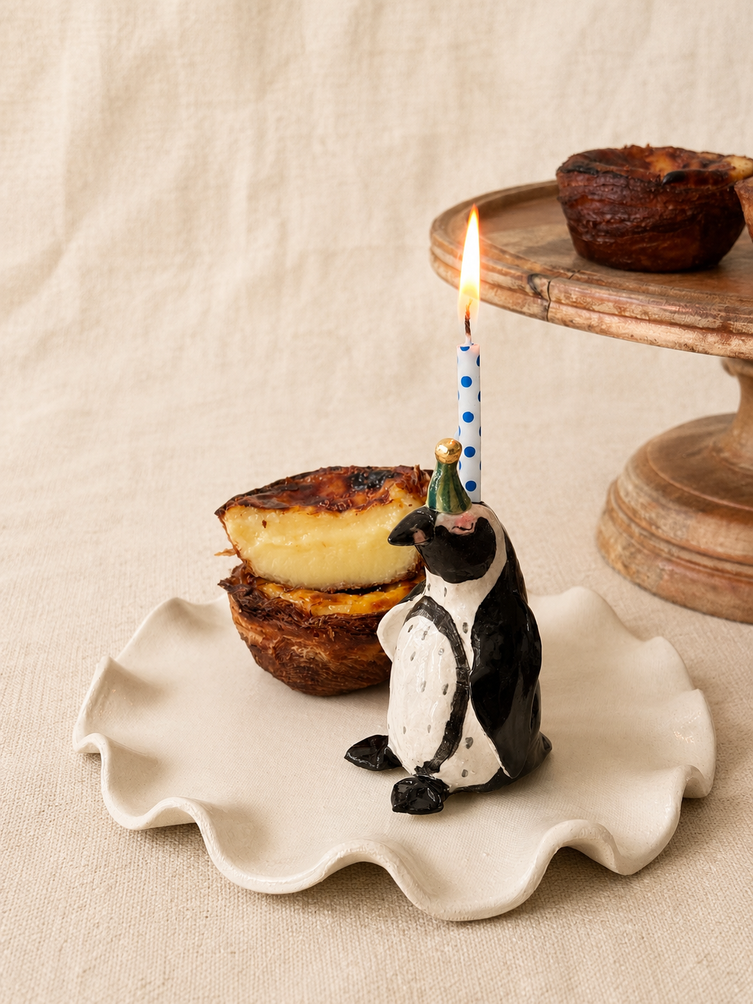 African Penguin
